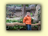 2008 Zoo (2).jpg
